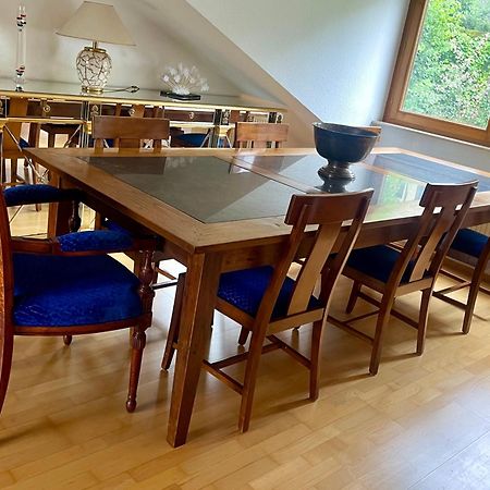 Wunderschoenes Grosses 3 Zimmer Apartament Zentrum Goldstadt Familienfreundlich Mit Garage Pforzheim Exteriér fotografie