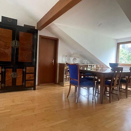 Wunderschoenes Grosses 3 Zimmer Apartament Zentrum Goldstadt Familienfreundlich Mit Garage Pforzheim Exteriér fotografie